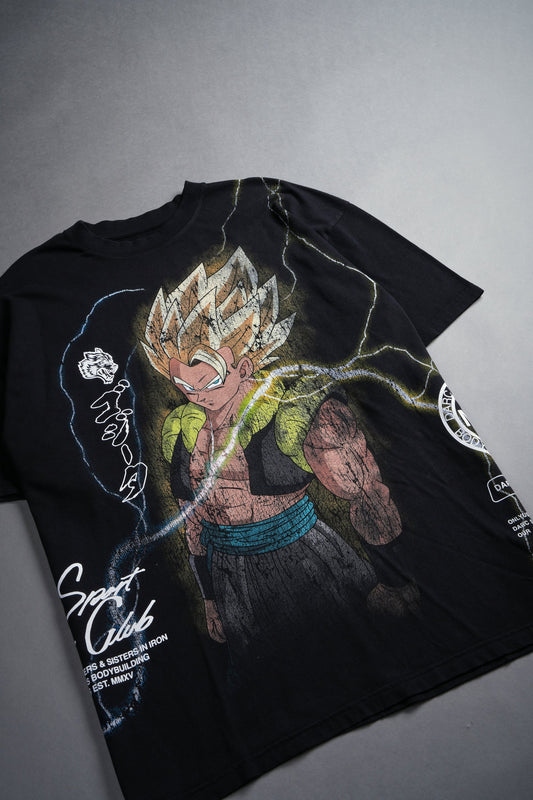 Broly vs Gogeta Super Saiyan Gogeta